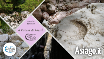 Fossili asiago guide
