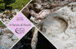 Fossili asiago guide