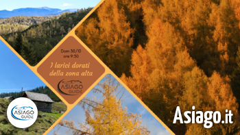 Larici asiago guide