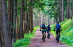 The wonders of Valdassa by e-bike - Monday 11 July 2022 from 9.30