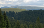 Panorami da cartolina: Monte Longara - Domenica 7 Agosto 2022 dalle 9.30