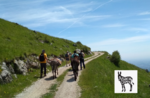 Besichtigung der Malghe di Caltrano. Ansichten im Tempo eines Esels am 26. Juni 2022 mit Eseln auf dem Weg!
