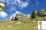 MONTE FIOR sulle orme della storia, sabato 14 maggio 2022