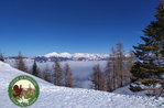 SCHNEESCHUHWANDERN: Auf dem Neuschnee auf den Grenzbergen, Sonntag, 20. Februar 2022