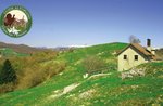 VALLERANA and campolongo trenches, guided excursion, Sunday 19 June 2022