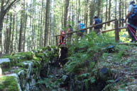 The Bridge Crosses The Trench