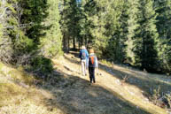 Hikers in the forest