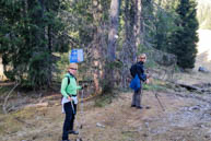 Signs of the path in the Woods