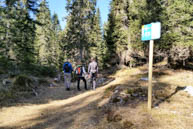 Trail signs for Rifugio Malga Moline