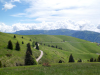 Dirt Road in the Green Of Plateau