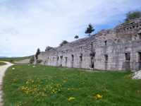 Sul Sentiero Monte Lisser