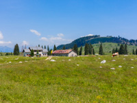 Malga marcesina di sopra