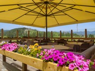 La Terrazza Panoramica del Rifugio Malga Ronchetto