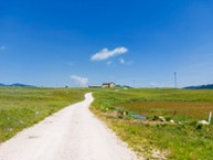 Torbiera Lungo il Giro Delle Malghe di Marcesina