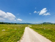 Nel Mezzo Della Bella Piana di Marcesina