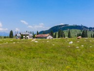 Malga Marcesina di Sopra