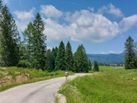 Nella Natura Della Piana di Marcesina