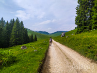 Walking Along the Giro Delle Malghe