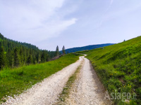 Bergauf auf dem Feldweg