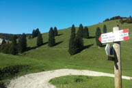 Indication To Asiago Bertigo Ossuary