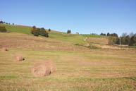 Landscape with Hay