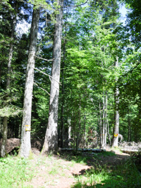 Directions Turn To Left After Raitertal Peak