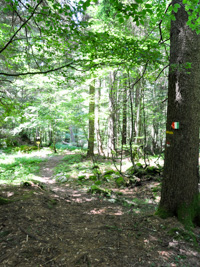 Signpost After Cima Raitertal