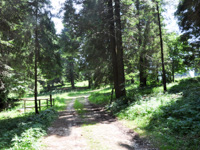 Uscita dal Bosco a Pozza del Xomo