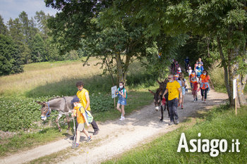 Baby trekking con gli asini Baby trekking con gli asini