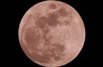 Escursione con la "luna rosa" di aprile dal Bar Alpino a Malga Foraoro