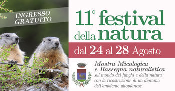 11 festival natura manifesto