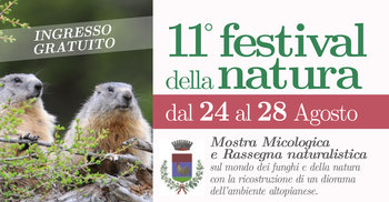 11 festival natura manifesto 11 festival natura manifesto
