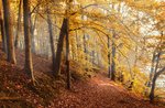 Ausstellung "Herbst auf dem Plateau" auf der Piazza Carli - 17. und 18. Oktober 2020