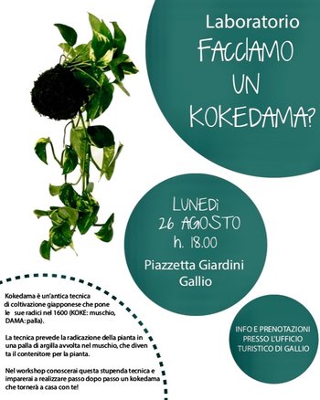 Crea il tuo kokedama Gallio