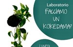 Workshop "Create your Kokedama" in Gallien - 26. August 2019