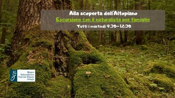 Esursione per famiglia con naturalista museo patrizio rigoni naturalistico asiago