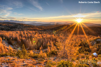 foliage al tramonto 