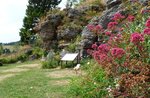 Besuch und Workshop im Alpinen Botanischen Garten von M. Horn-29 August 2018