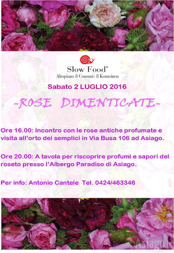 Giornata delle rose 2016 2