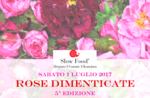 ROSE FORGET-Day the rediscovery of old roses-Asiago-July 1, 2017