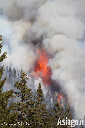 Incendio Altopiano di Asiago - Fiamme Incendio Altopiano di Asiago - Fiamme