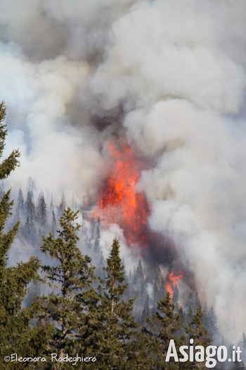 Incendio Altopiano di Asiago - Fiamme