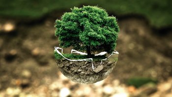 rispetto ambiente rispetto ambiente