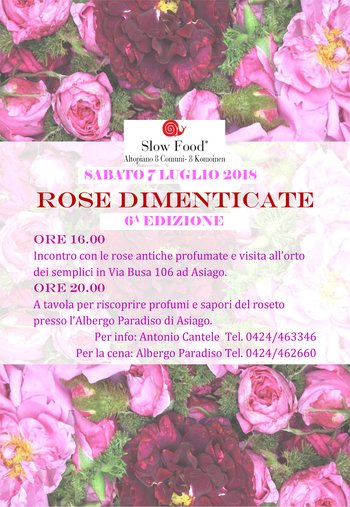 Rose dimenticate 2018