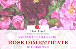 ROSE DIMENTICATE - Giornata alla riscoperta delle rose antiche ad Asiago - 7 luglio 2018 