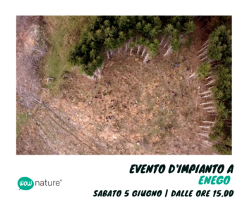 wownature evento impianto alberi a enego