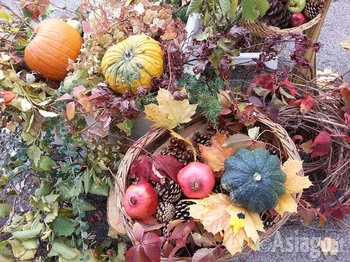 Tavolo foliage asiago