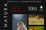 Evening slides LIVE nature with the photographer Roberto Rossi, January 2, 2014