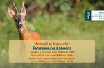 Animali al tramonto: Escursione con il faunista - Museo Naturalistico di Asiago - 15 luglio 2022