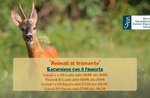 Animals at sunset - Excursion with the faunista - Naturalistic Museum of Asiago - August 22, 2022